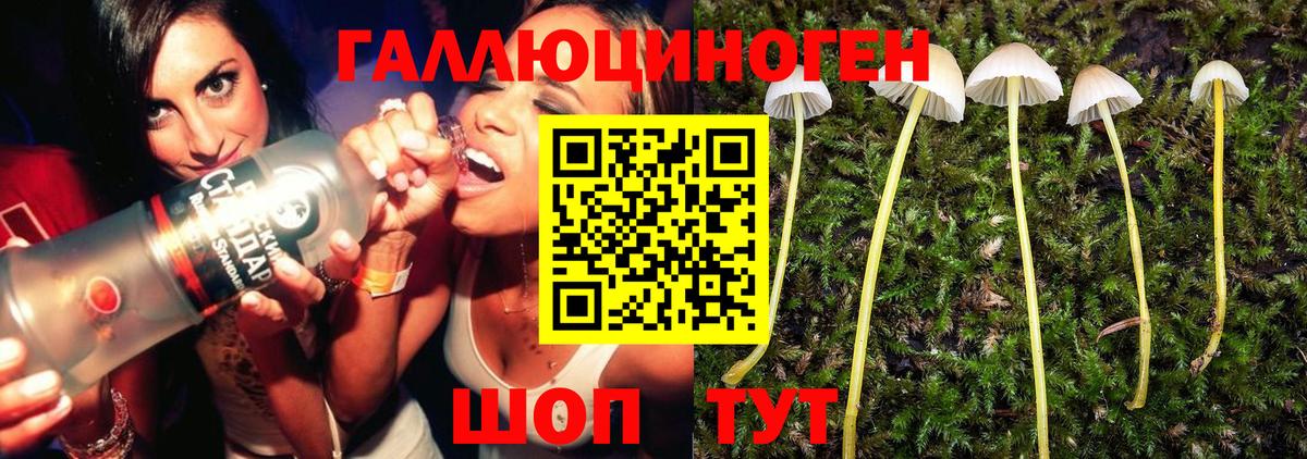 Псилоцибиновые грибы MAGIC MUSHROOMS Белгород